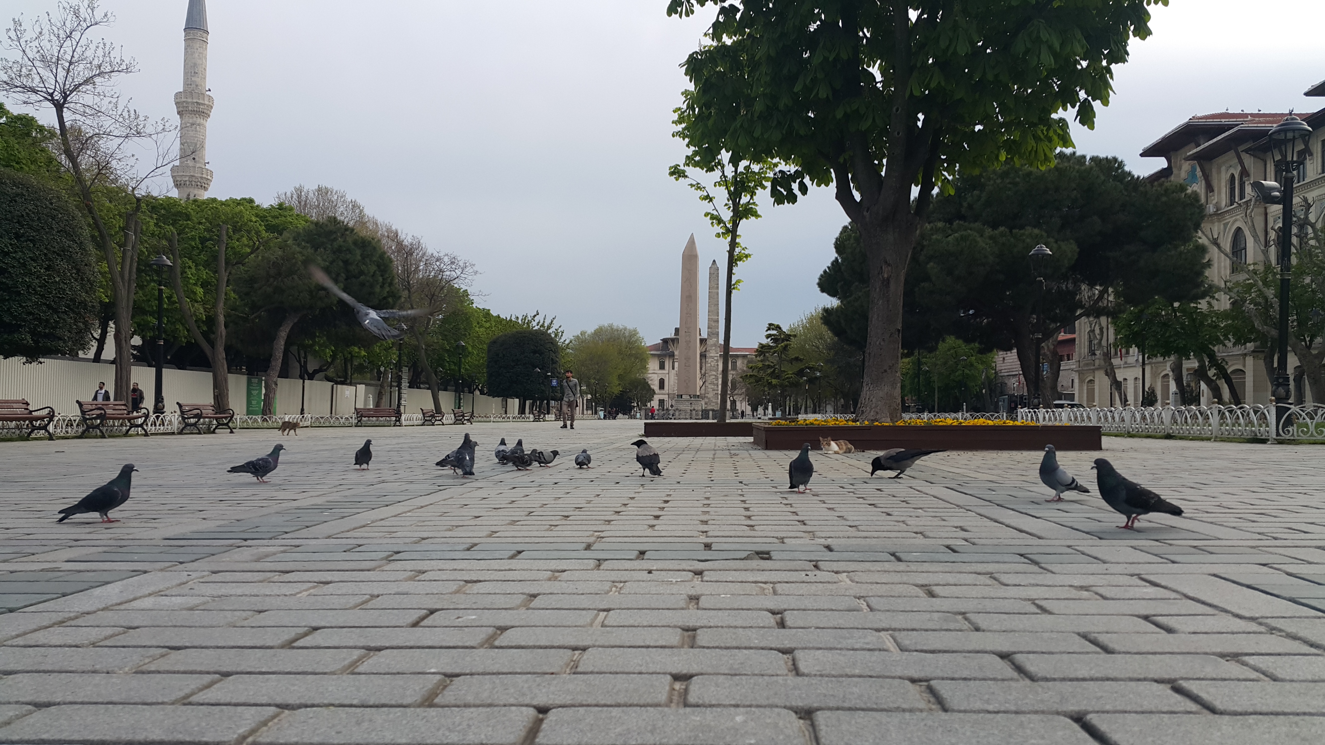 Exploring Istanbul’s Sultanahmet Area: A Guide to Free Walking Tours